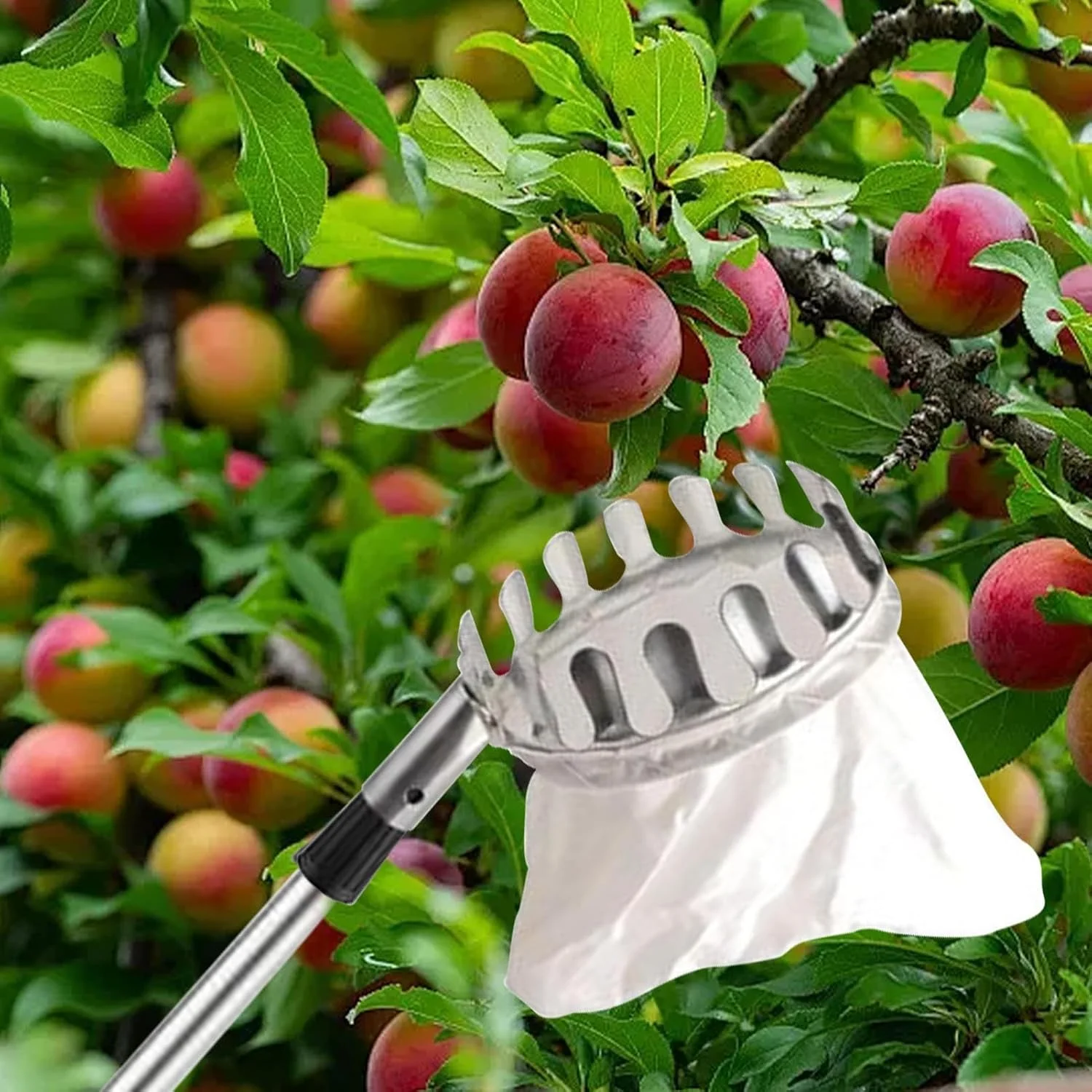 ابزار چیدن میوه از درخت، چیدن سبزیجات قابل حمل، ابزار ارگونومیک تجهیزات حرفه ای برای چیدن برداشت محصول باغ کشاورزی فضای باز خانه