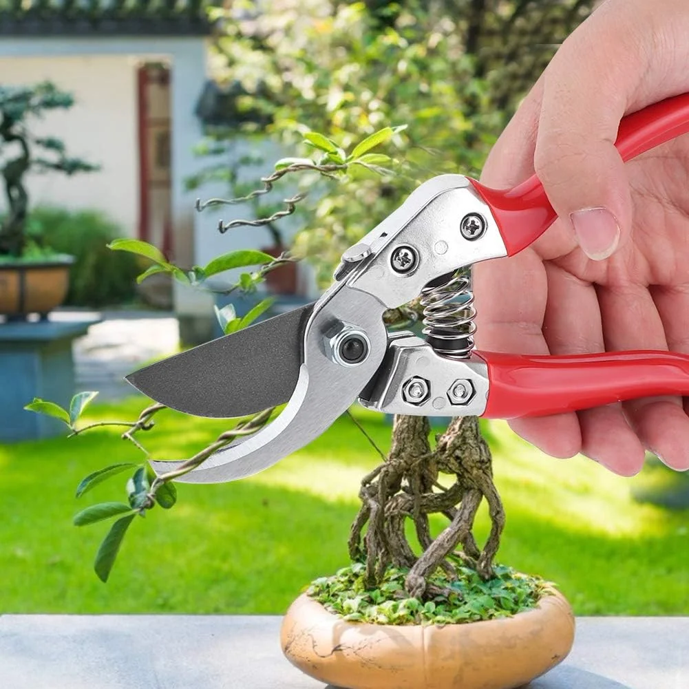 قیچی باغبانی - قیچی باغبانی کشاورزی ابزار دستی قیچی هرس قیچی هرس برای هرس شاخه گل درخت میوه