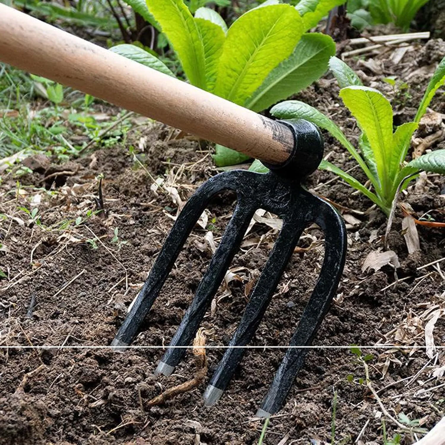 بیلچه هودور برای وجین علف های هرز، باغ خانوادگی، چنگک تخت چهار دندانه، رنده کشاورزی، ابزار باغبانی بیل زدن، کاشت بذر، چنگک سه دندانه، چنگک آهنی، چنگال