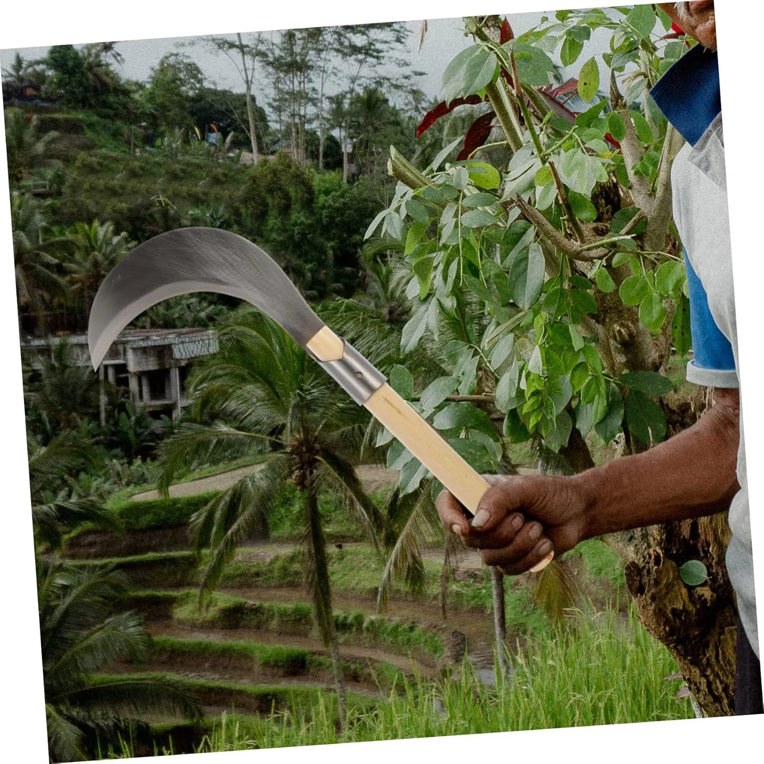 داس باغبانی فولاد منگنز FAZIRAN ZHUAGI، ابزار باغبانی چند منظوره، تبر، نیشکر، ابزار کشاورزی چوبی، وجین دستی، داس علف زن دستی