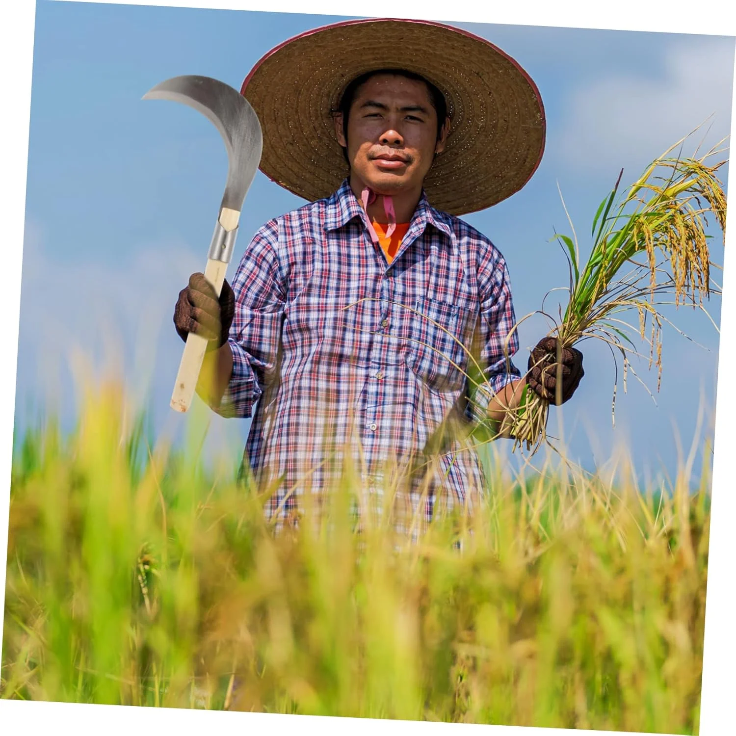 داس باغبانی فولاد منگنز FAZIRAN ZHUAGI، ابزار باغبانی چند منظوره، تبر، نیشکر، ابزار کشاورزی چوبی، وجین دستی، داس علف زن دستی