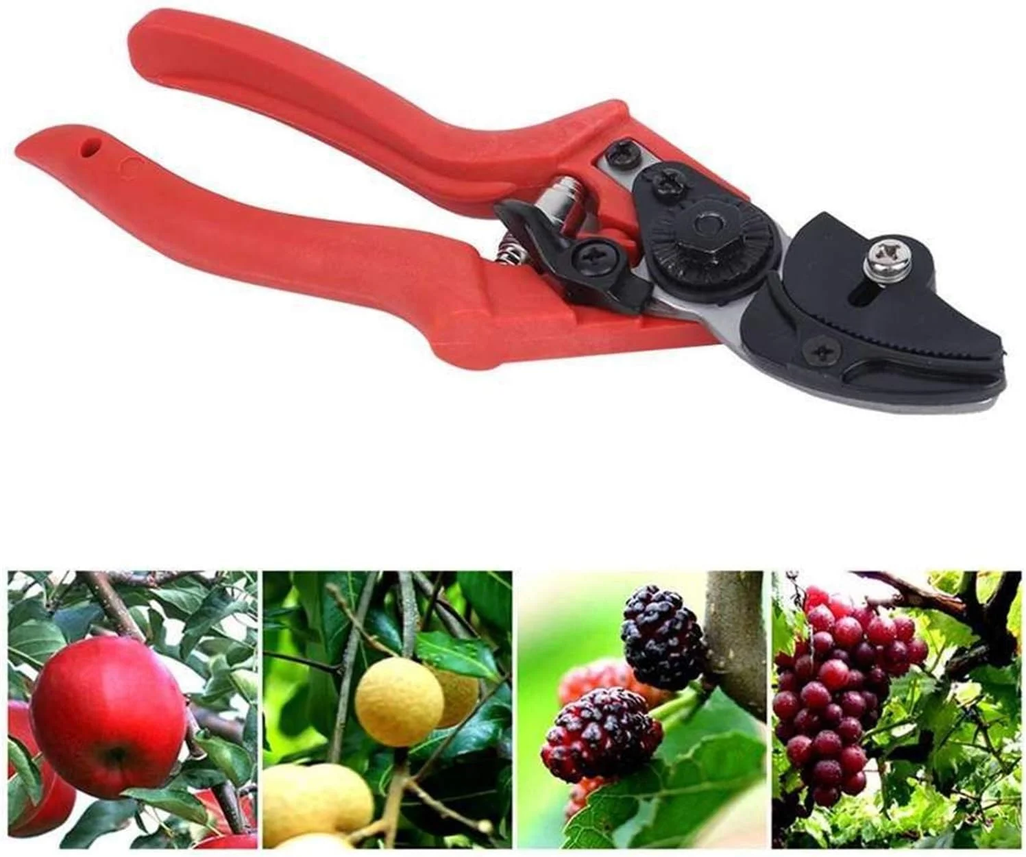 Pruning Shears Agricultural Vegetables Fruits Bonsai Pruner Picking Scissors Gardening Tools Fruit