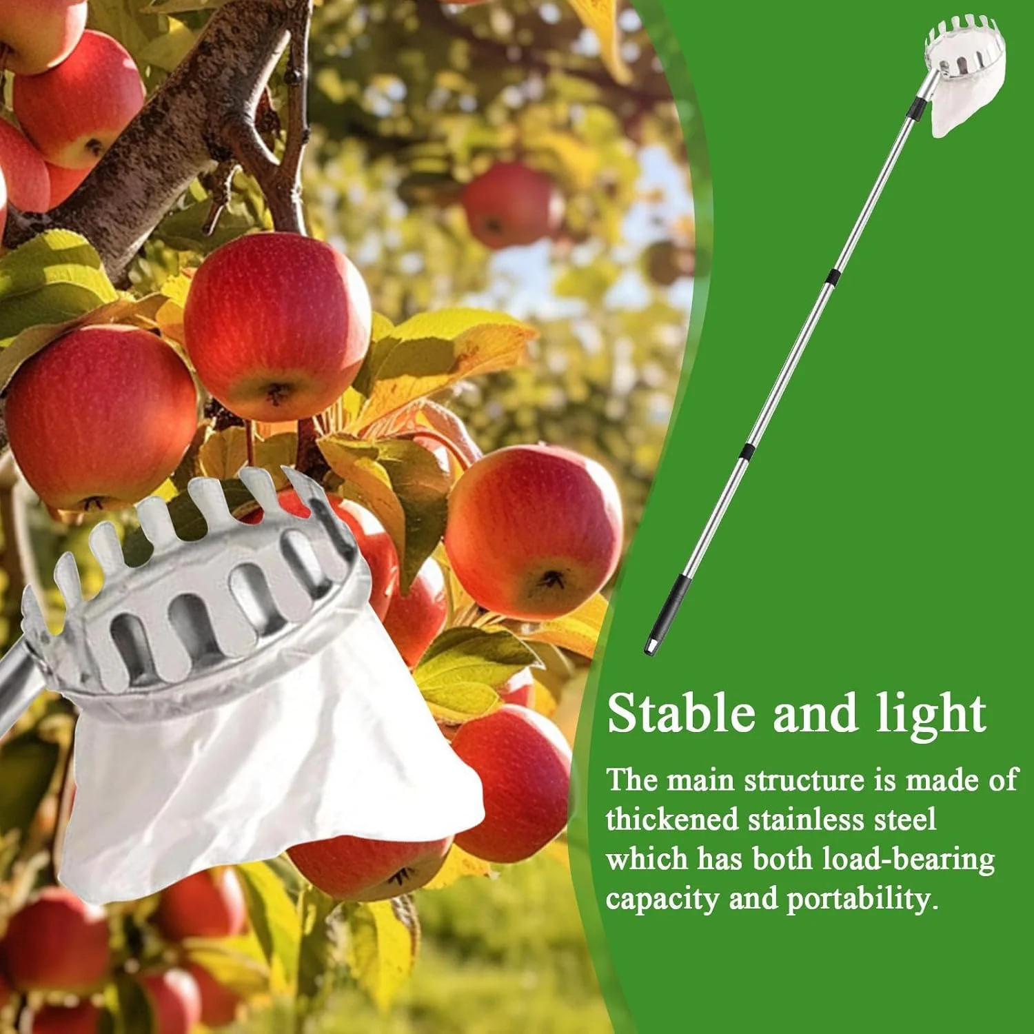 میله میوه چین - ابزار قابل تنظیم برای چیدن میوه از درخت، ابزار حرفه ای ارگونومیک برای چیدن و برداشت میوه در باغ، فضای باز و منزل