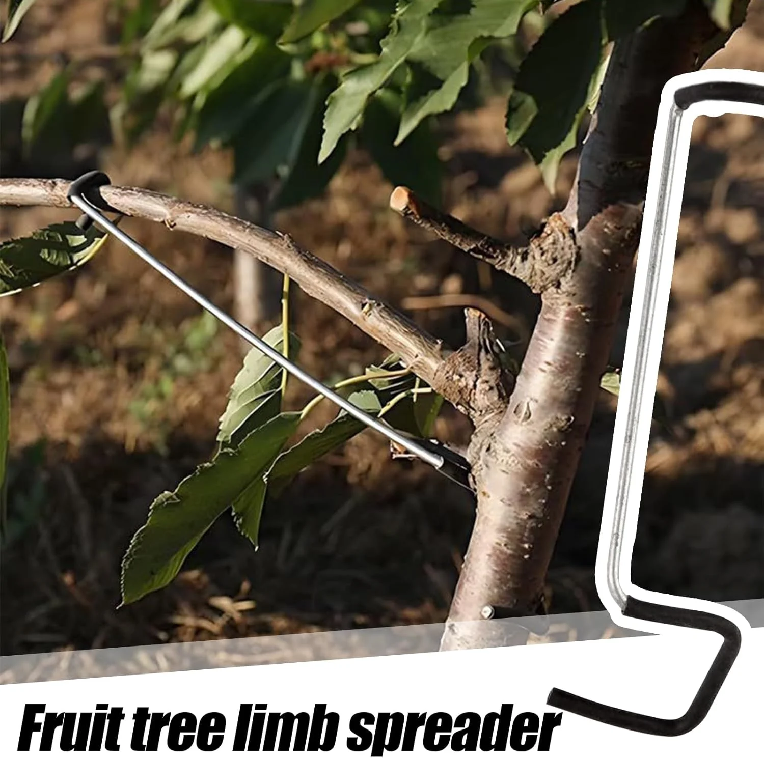 شاخه باز کن درختان میوه | کشنده شاخه درخت میوه 10 عددی | با آستین محافظ ابزار خم کننده 36 سانتی متر برای کاشت چمن، مراقبت از خاک باغ، کشاورزی، باغ کشاورزی و چمن