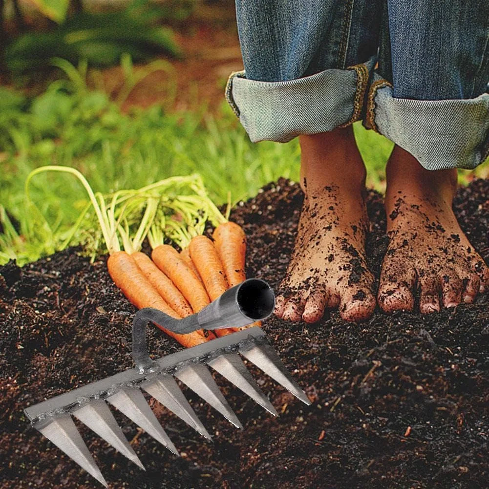 ابزار باغبانی شامل بیلچه وجین، چنگک، دندانه، چنگ زدن، شخم زدن و سست کردن خاک ابزار باغبانی شامل بیلچه وجین، چنگک، دندانه، چنگ زدن، شخم زدن و سست کردن خاک