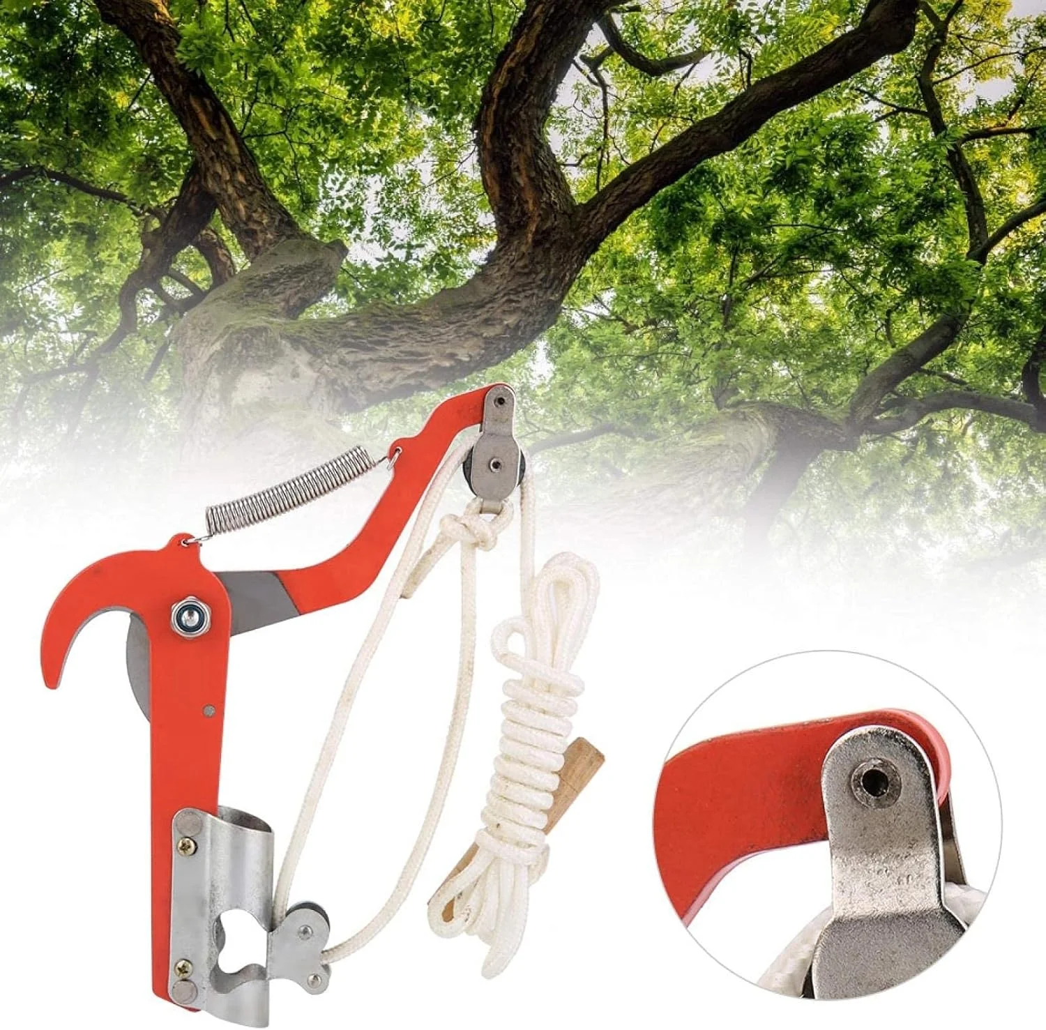 قیچی باغبانی فنری SK5 آلیاژ فولاد با بند نایلونی برای هرس شاخه درختان میوه