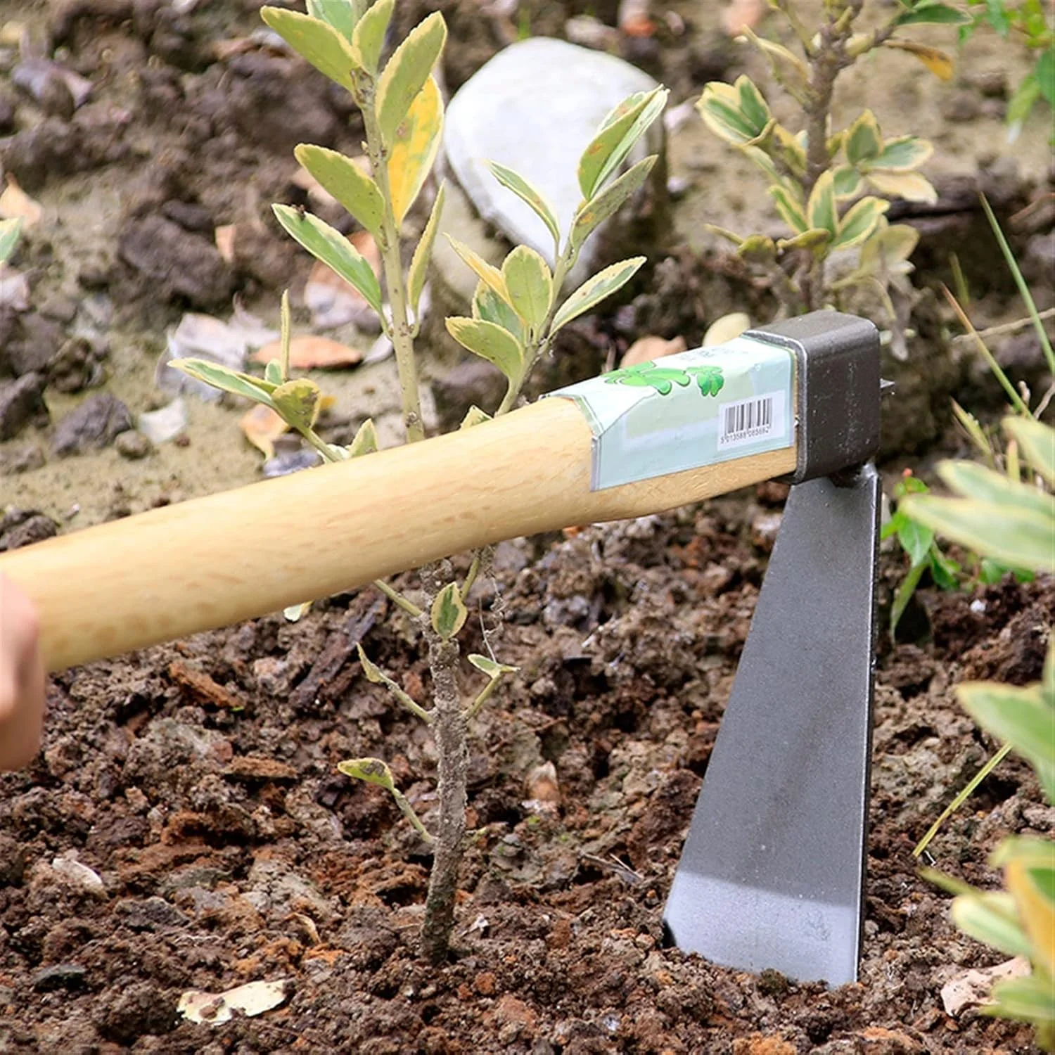 بیلچه سوناخو با دسته چوبی، ابزار کشاورزی فولاد کربنی، وجین کن مورد استفاده برای شل کردن زمین، ابزار باغبانی شوفار تارا (رنگ: Hortel) بیلچه سوناخو با دسته چوبی، ابزار کشاورزی فولاد کربنی، وجین کن مورد استفاده برای شل کردن زمین، ابزار باغبانی شوفار تارا (رنگ: Hortel)