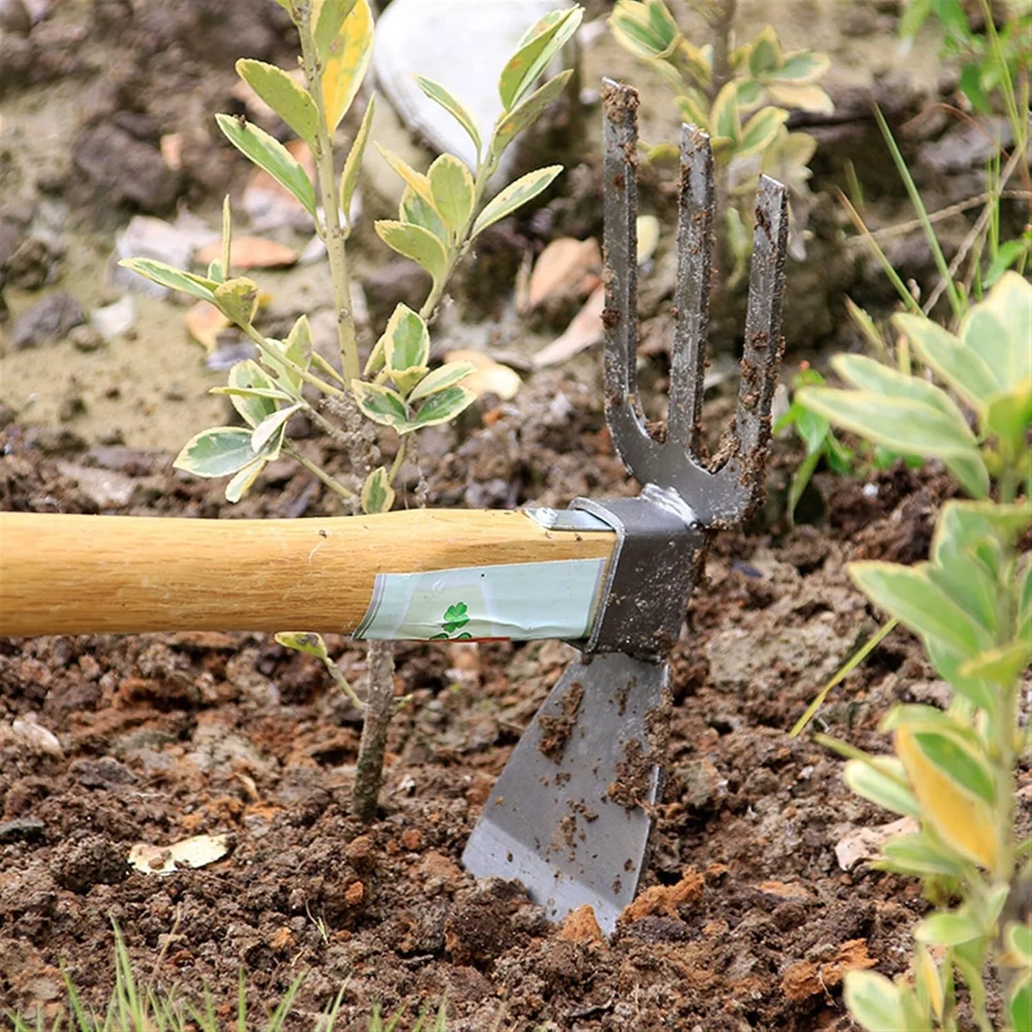 بیلچه سوناخو با دسته چوبی، ابزار کشاورزی فولاد کربنی، وجین کن مورد استفاده برای شل کردن زمین، ابزار باغبانی شوفار تارا (رنگ: Hortel) بیلچه سوناخو با دسته چوبی، ابزار کشاورزی فولاد کربنی، وجین کن مورد استفاده برای شل کردن زمین، ابزار باغبانی شوفار تارا (رنگ: Hortel)