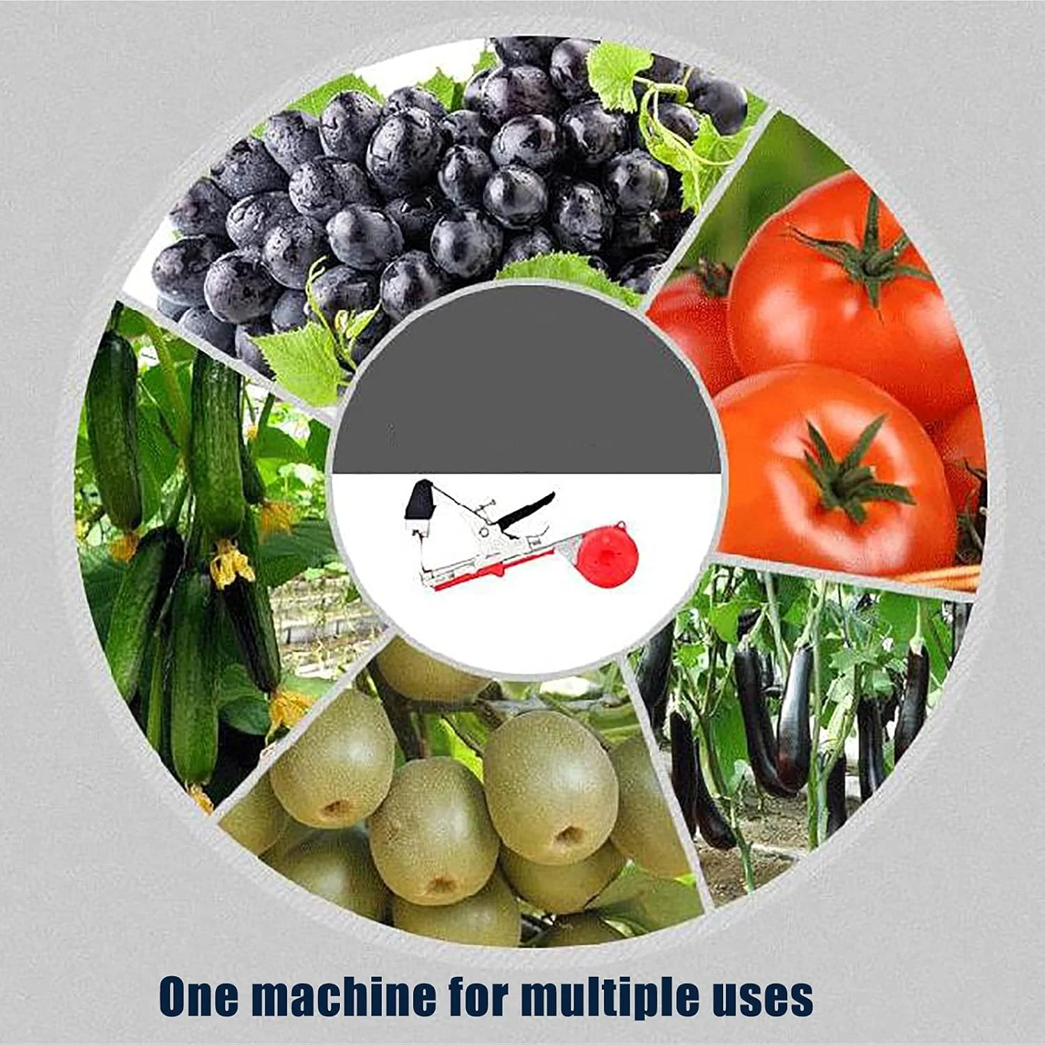 دستگاه گره زن باغبانی FLBTY، ابزار نوار چسب، لوازم باغبانی، ابزار کشاورزی، برای ابزار باغبانی، یک دستگاه برای مصارف متعدد، مناسب برای انگور، گوجه فرنگی، فلفل، بادمجان و لوبیا دستگاه گره زن باغبانی FLBTY، ابزار نوار چسب، لوازم باغبانی، ابزار کشاورزی، برای ابزار باغبانی، یک دستگاه برای مصارف متعدد، مناسب برای انگور، گوجه فرنگی، فلفل، بادمجان و لوبیا