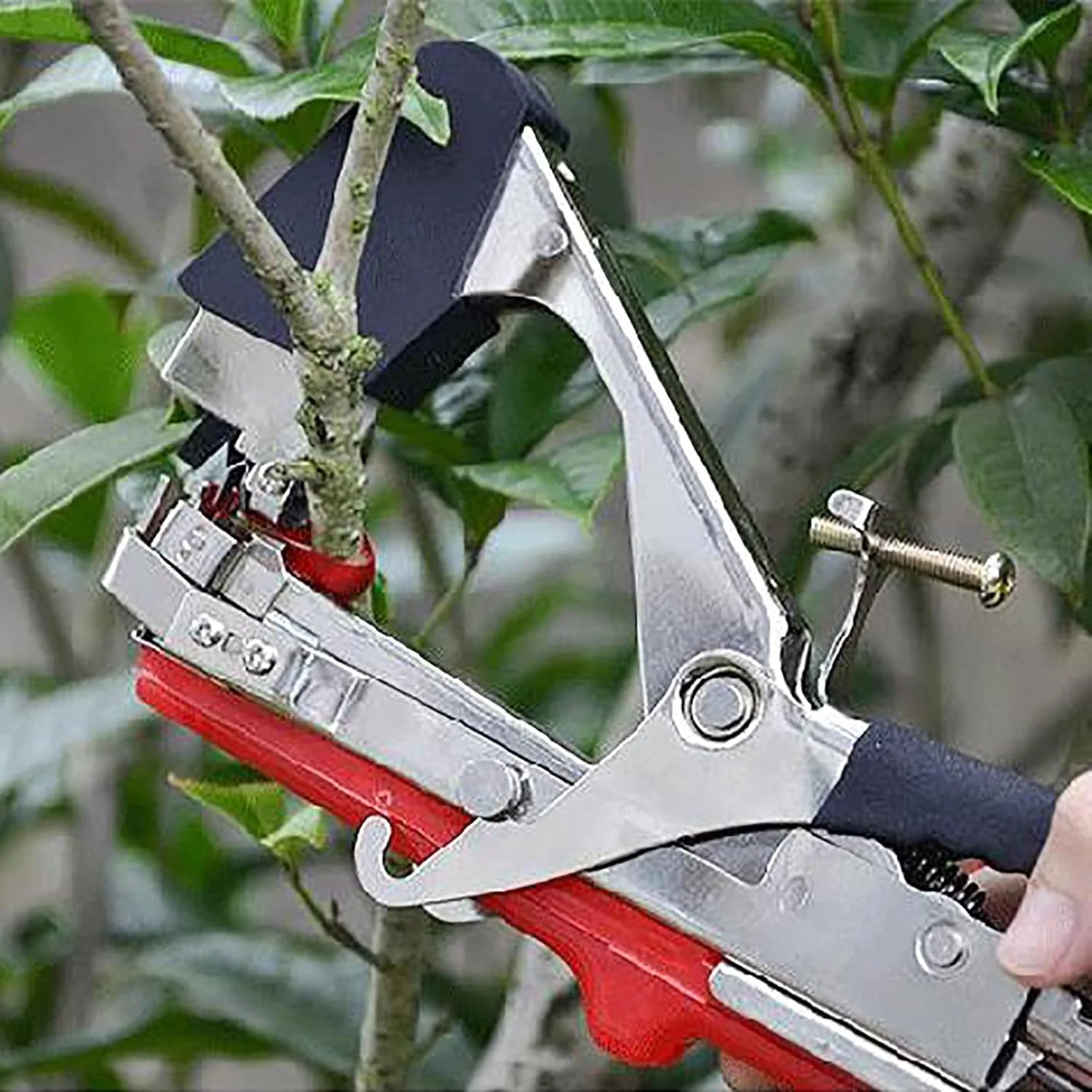 دستگاه گره زن باغبانی FLBTY، ابزار نوار چسب، لوازم باغبانی، ابزار کشاورزی، برای ابزار باغبانی، یک دستگاه برای مصارف متعدد، مناسب برای انگور، گوجه فرنگی، فلفل، بادمجان و لوبیا دستگاه گره زن باغبانی FLBTY، ابزار نوار چسب، لوازم باغبانی، ابزار کشاورزی، برای ابزار باغبانی، یک دستگاه برای مصارف متعدد، مناسب برای انگور، گوجه فرنگی، فلفل، بادمجان و لوبیا