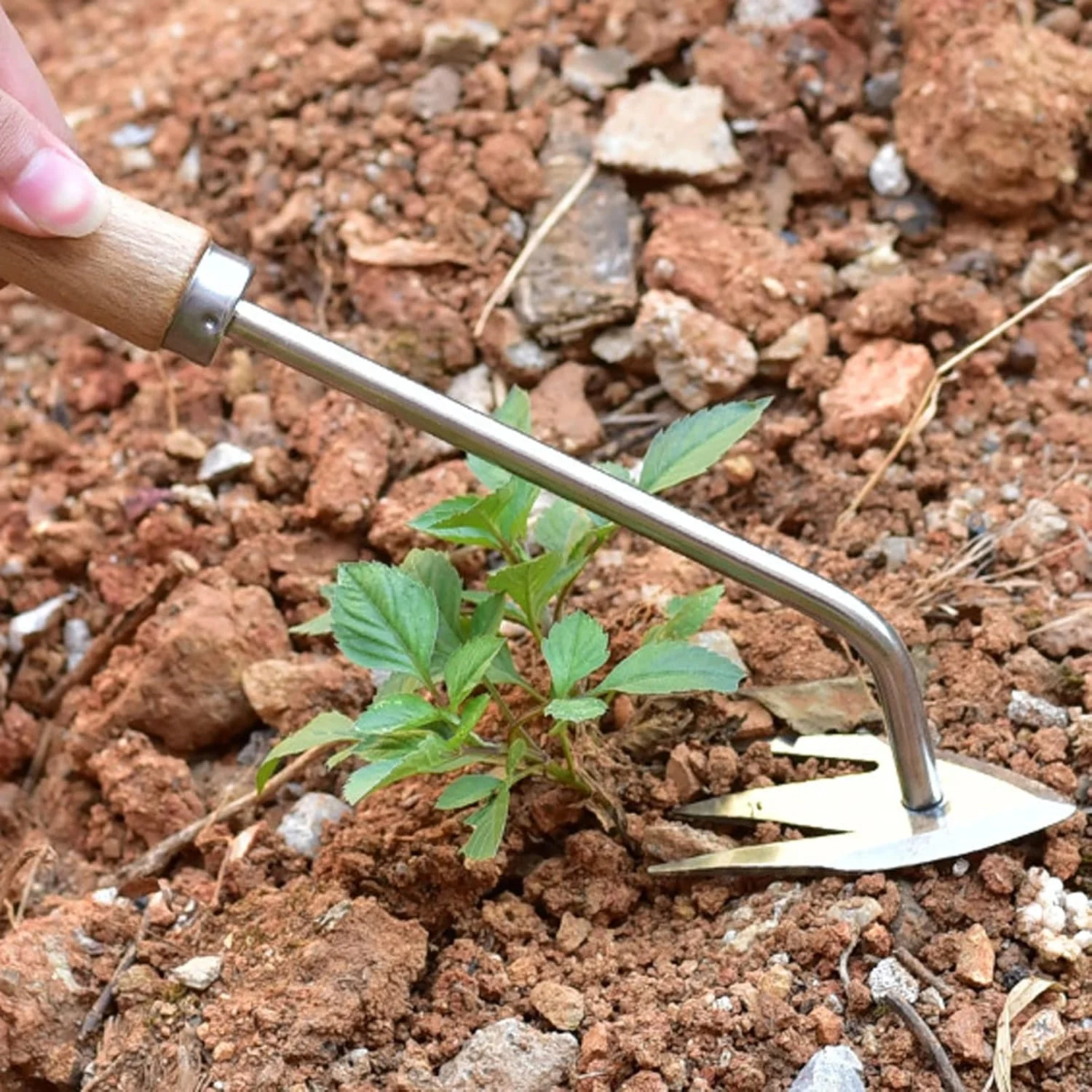 بیلچه باغبانی استیل ضد زنگ سوناکسو مناسب برای کاشت سبزیجات، کشاورزی و ابزار باغبانی بیلچه باغبانی استیل ضد زنگ سوناکسو مناسب برای کاشت سبزیجات، کشاورزی و ابزار باغبانی