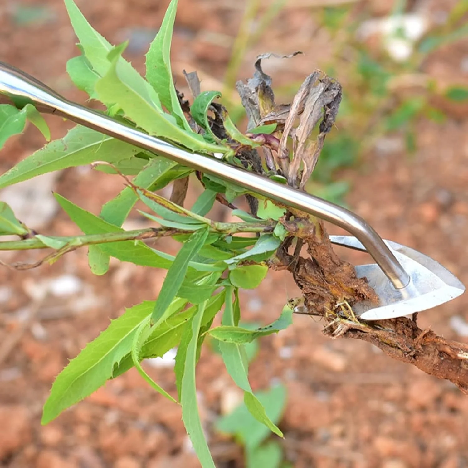 بیلچه باغبانی استیل ضد زنگ سوناکسو مناسب برای کاشت سبزیجات، کشاورزی و ابزار باغبانی بیلچه باغبانی استیل ضد زنگ سوناکسو مناسب برای کاشت سبزیجات، کشاورزی و ابزار باغبانی