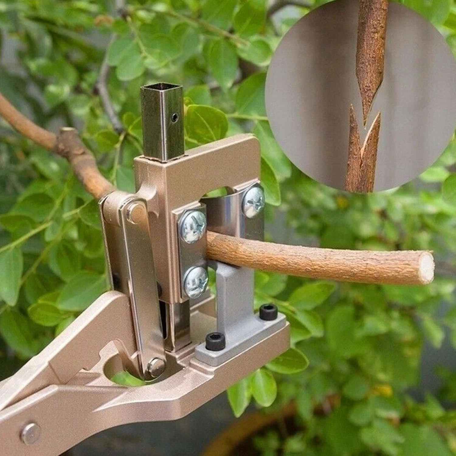 ست ابزار پیوند زدن 2 در 1 شامل قیچی پیوند و نوار پیوند، مناسب برای پیوند درختان میوه، ابزار کشاورزی، ابزار پیوند زنی حرفه ای باغبانی، نرخ بقای بالا، استفاده آسان