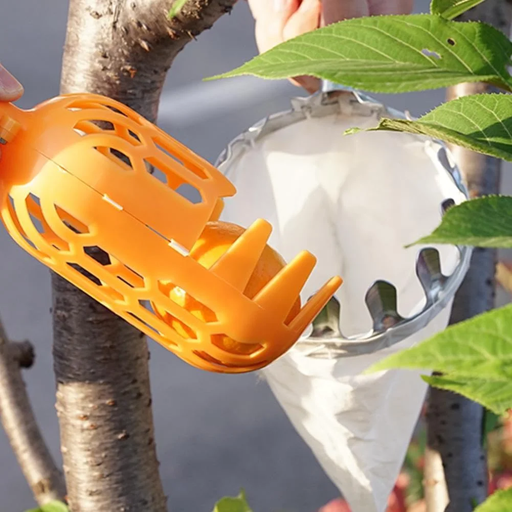 ابزار چیدن میوه باغی، چیدن توت فرنگی، ابزار کشاورزی در ارتفاع بالا، بدون نیاز به ابزار، چیدن هلو، باغبانی، میله چیدن میوه B9D8 ابزار چیدن میوه باغی، چیدن توت فرنگی، ابزار کشاورزی در ارتفاع بالا، بدون نیاز به ابزار، چیدن هلو، باغبانی، میله چیدن میوه B9D8