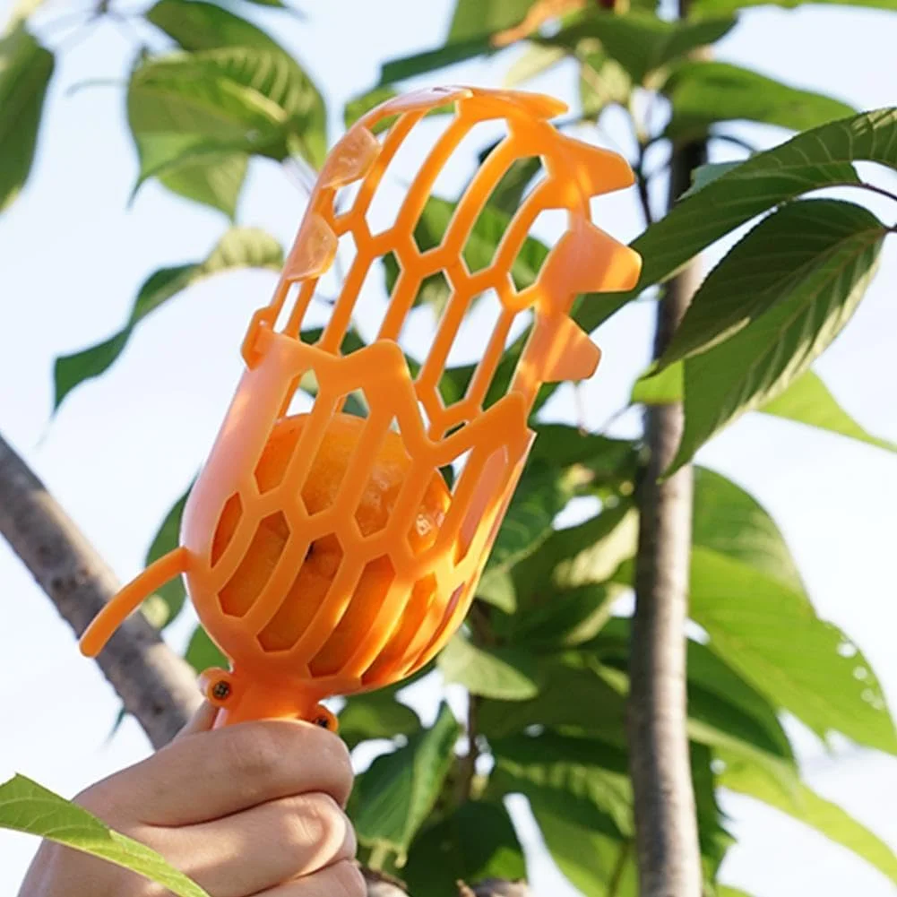 ابزار چیدن میوه باغی، چیدن توت فرنگی، ابزار کشاورزی در ارتفاع بالا، بدون نیاز به ابزار، چیدن هلو، باغبانی، میله چیدن میوه B9D8 ابزار چیدن میوه باغی، چیدن توت فرنگی، ابزار کشاورزی در ارتفاع بالا، بدون نیاز به ابزار، چیدن هلو، باغبانی، میله چیدن میوه B9D8