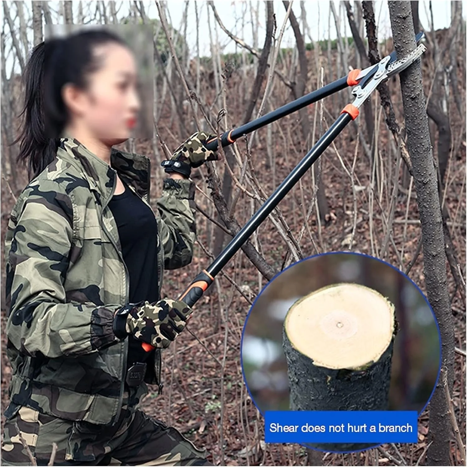 قیچی باغبانی تلسکوپی بلند، ابزار هرس شاخه و پرچین، قیچی دستی کشاورزی قیچی باغبانی تلسکوپی بلند، ابزار هرس شاخه و پرچین، قیچی دستی کشاورزی