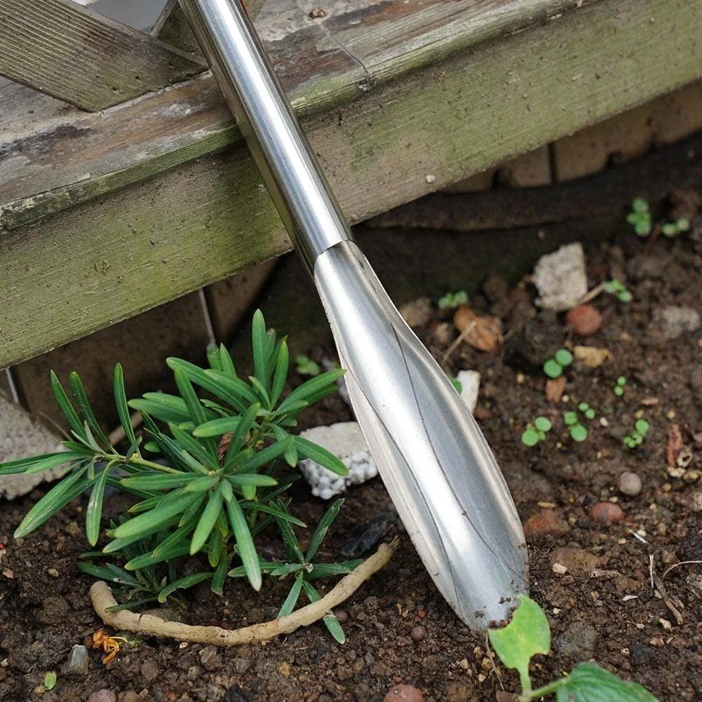 بیلچه باغبانی استیل ضد زنگ برای کندن سبزیجات وحشی، ابزار و لوازم جانبی کشاورزی، بیلچه کاشت علف های هرز بیلچه باغبانی استیل ضد زنگ برای کندن سبزیجات وحشی، ابزار و لوازم جانبی کشاورزی، بیلچه کاشت علف های هرز