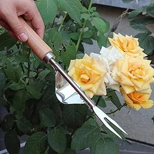 DJGvgtf لوازم باغبانی مردانه 3 تکه ابزار دستی کشاورزی خانگی حذف کننده علف های هرز ابزار باغبانی برای باغبانی، خانه DJGvgtf لوازم باغبانی مردانه 3 تکه ابزار دستی کشاورزی خانگی حذف کننده علف های هرز ابزار باغبانی برای باغبانی، خانه