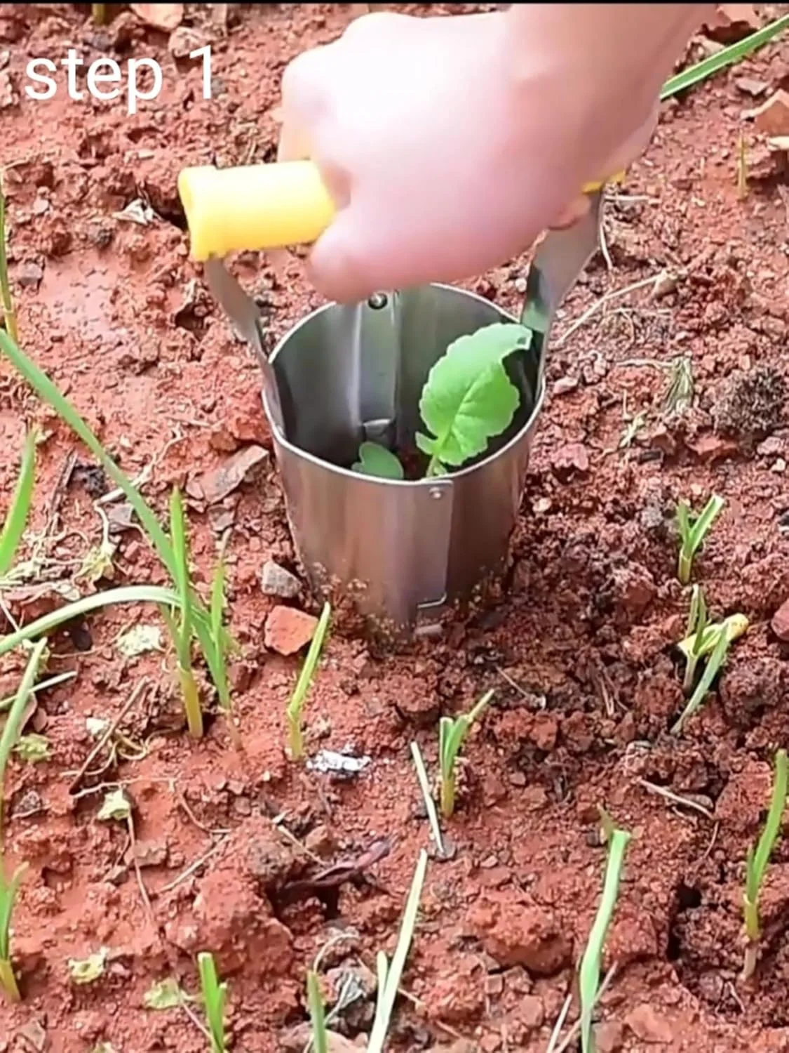 دستگاه کاشت نشاء استیل KAYNO، ابزار کشاورزی، پانچر، ابزار باغبانی، بیرون آورنده نشاء، دسته چوبی، پانچ سوراخ نوک تیز