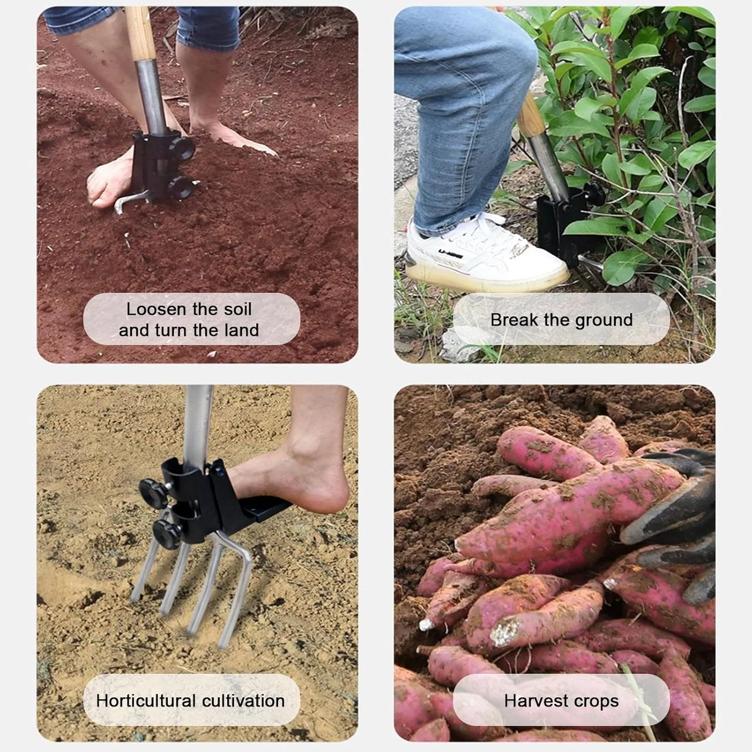 چنگال باغبانی بیلزنی - چنگال بیلزنی برای خاکورزی، ابزار باغبانی چنگکی با دسته چوبی، ابزار کشاورزی باغبانی برای شخمزنی، کاشت سبزیجات چنگال باغبانی بیلزنی - چنگال بیلزنی برای خاکورزی، ابزار باغبانی چنگکی با دسته چوبی، ابزار کشاورزی باغبانی برای شخمزنی، کاشت سبزیجات