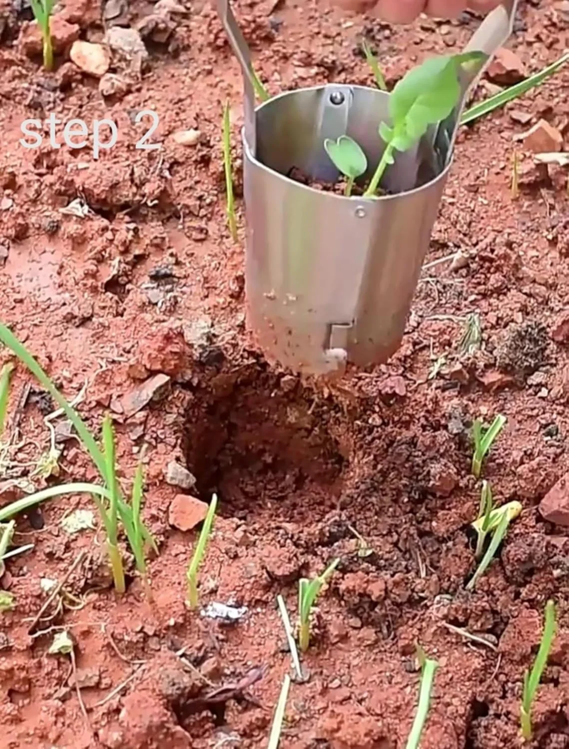 دستگاه کاشت نشاء استیل KAYNO، ابزار کشاورزی، پانچر، ابزار باغبانی، بیرون آورنده نشاء، دسته چوبی، پانچ سوراخ نوک تیز