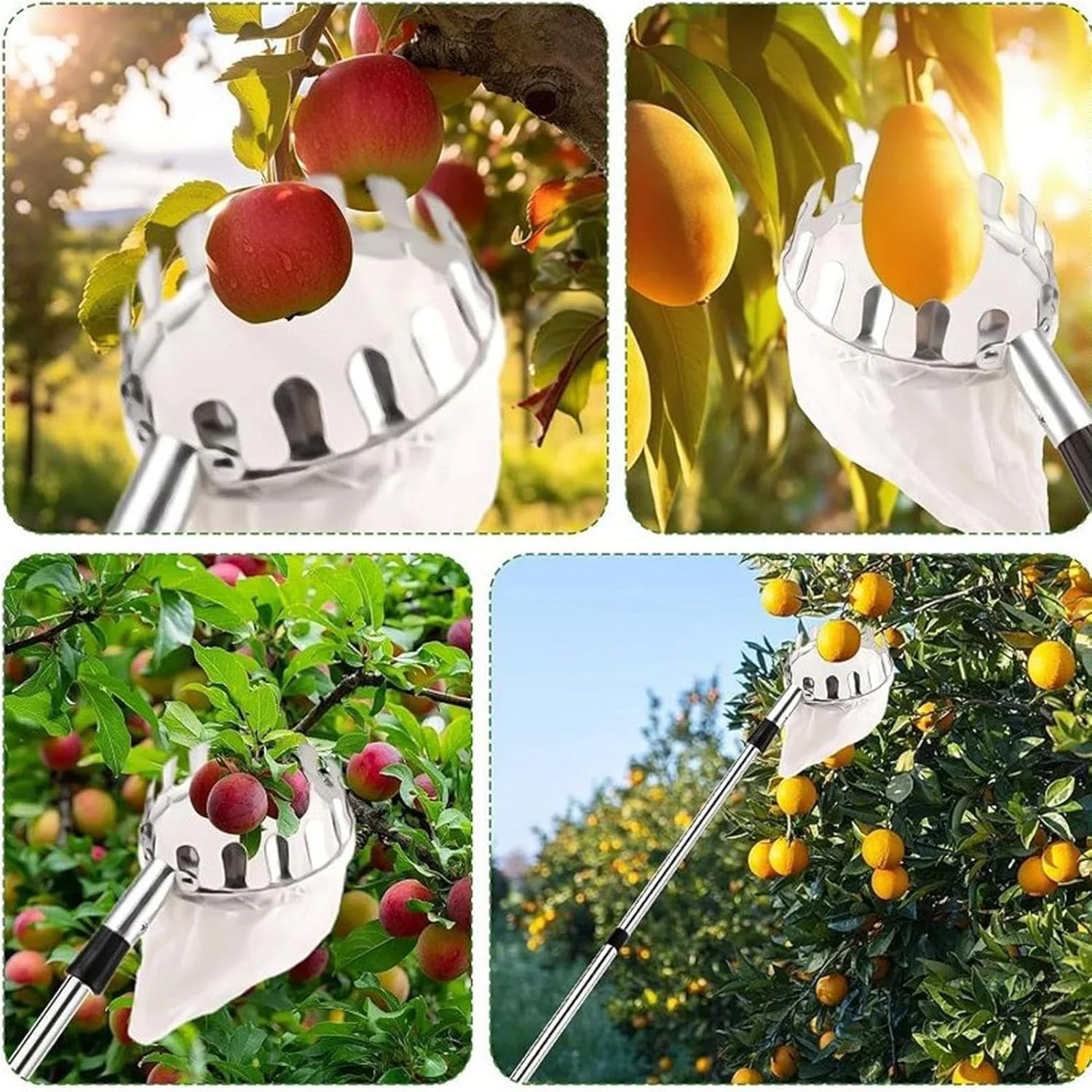 ابزار چیدن میوه از درخت، ابزار قابل تنظیم چیدن میوه از درخت | ابزار حرفه ای ارگونومیک برای چیدن و برداشت میوه در باغ، مزرعه، فضای باز و منزل ابزار چیدن میوه از درخت، ابزار قابل تنظیم چیدن میوه از درخت | ابزار حرفه ای ارگونومیک برای چیدن و برداشت میوه در باغ، مزرعه، فضای باز و منزل