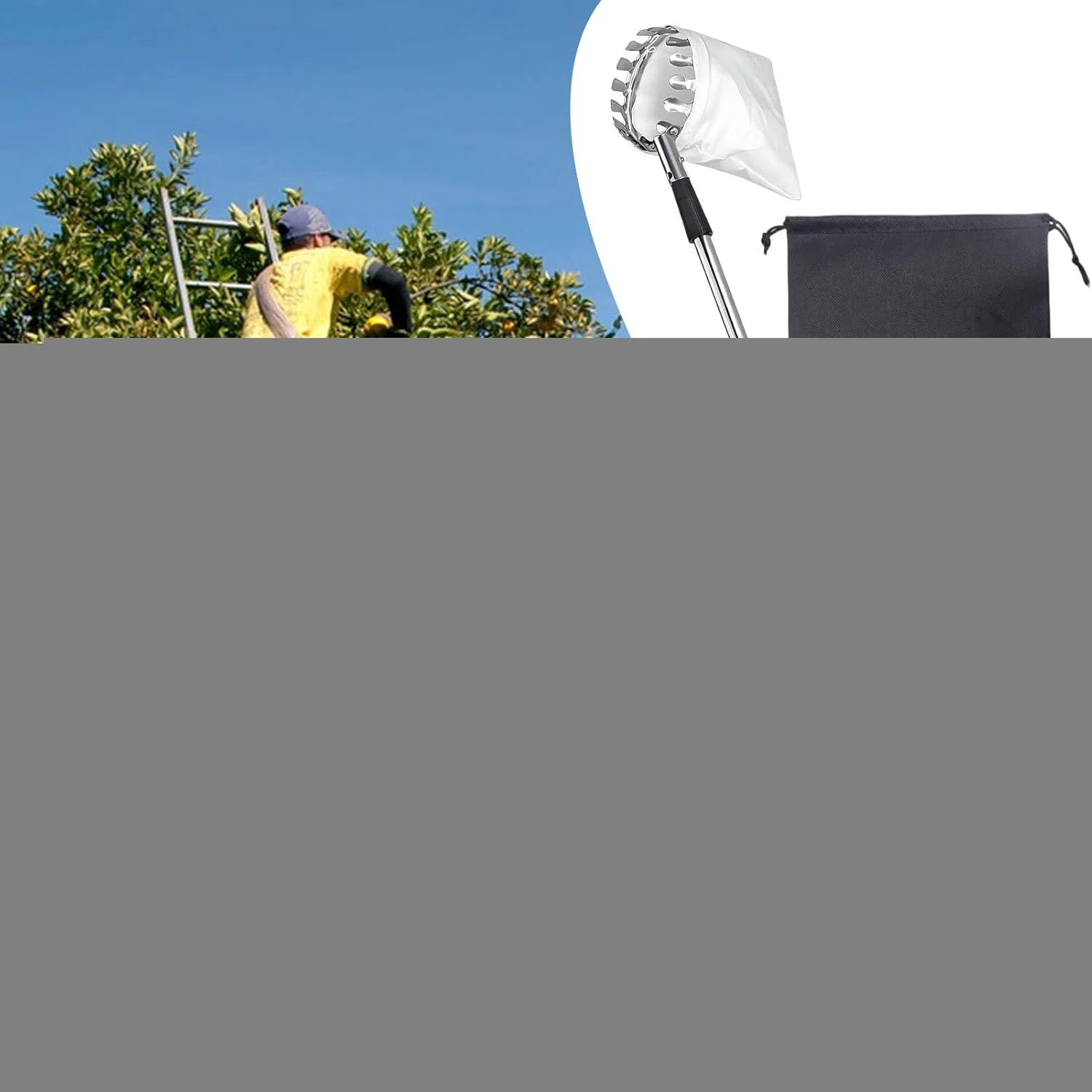 میله چیدن میوه، میله تلسکوپی چیدن میوه، ابزار گیره قابل تنظیم ضد زنگ برای برداشت محصول باغ کشاورزی فضای باز خانه میله چیدن میوه، میله تلسکوپی چیدن میوه، ابزار گیره قابل تنظیم ضد زنگ برای برداشت محصول باغ کشاورزی فضای باز خانه