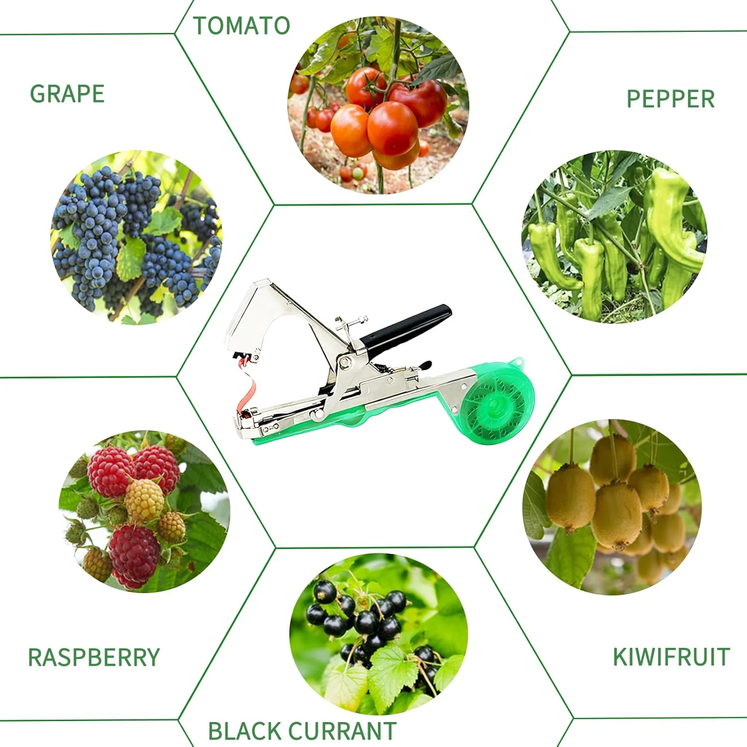 دستگاه بسته‌بندی گیاه برتوز، ابزار بسته‌بندی باغبانی گیاه، ابزار نوار کشاورزی برای انگور، گوجه‌فرنگی و سبزیجات تاک و غیره، با 10 رول نوار و 1 جعبه منگنه