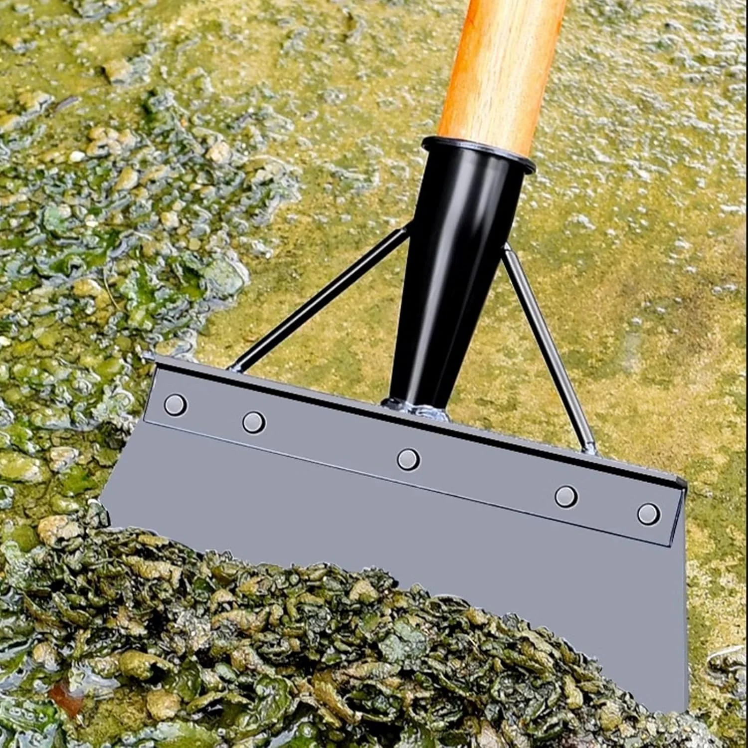 بیلچه چند منظوره باغبانی IGTOPS، بیلچه تمیز کننده استیل ضد زنگ برای علف های هرز و خزه، بیلچه تمیز کننده باغ، وجین کردن، کاشت گیاهان، ابزار از بین بردن علف های هرز کشاورزی (25 سانتی متر، مشکی)