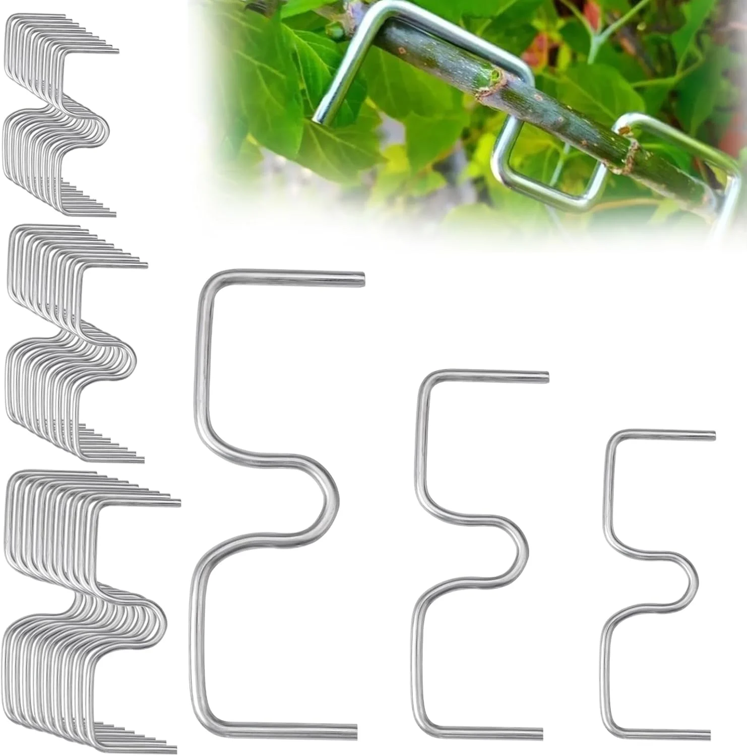 بسته 30 عددی جداکننده شاخه درختان میوه، پخش کننده شاخه M شکل 13/10/8 سانتی متری، پخش کننده شاخه برای درختان باغ، جداکننده شاخه، ابزار کشاورزی قابل حمل برای درختان متمایل، بونسای باغ