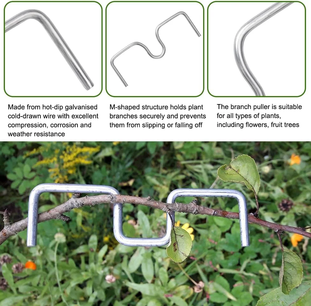 بسته 30 عددی جداکننده شاخه درختان میوه، پخش کننده شاخه M شکل 13/10/8 سانتی متری، پخش کننده شاخه برای درختان باغ، جداکننده شاخه، ابزار کشاورزی قابل حمل برای درختان متمایل، بونسای باغ