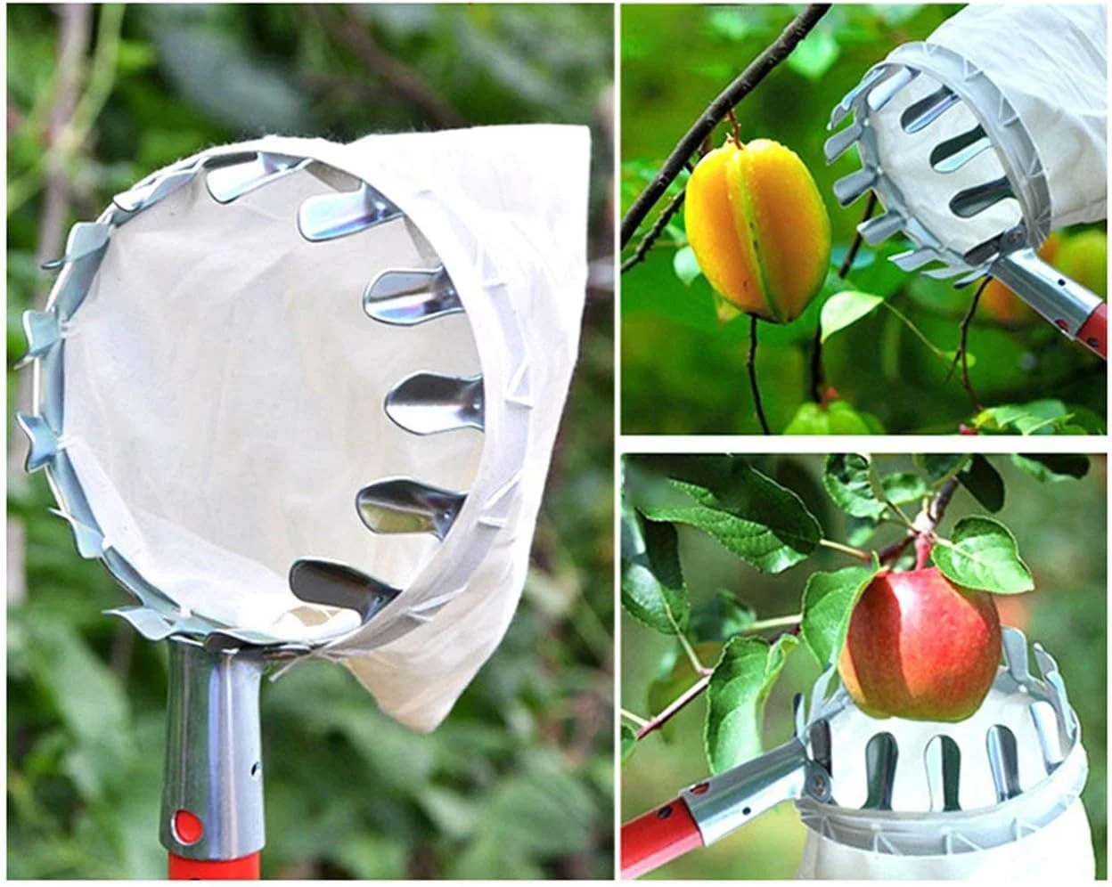 ابزار چیدن میوه فلزی، ابزار باغبانی و کشاورزی