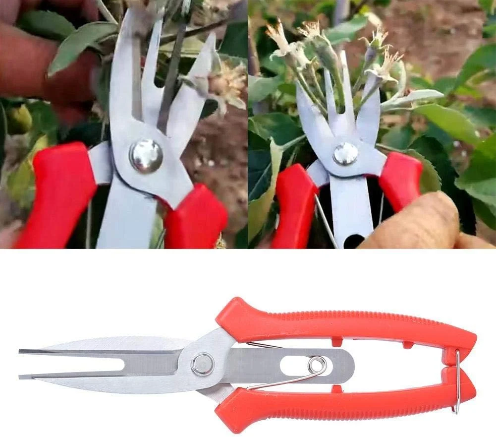 قیچی باغبانی دو دهانه استیل اومفار، مناسب برای هرس درختان سیب و گلابی، ابزار هرس باغبانی، قیچی های برش، مناسب برای تنک کردن گل و میوه در کشاورزی