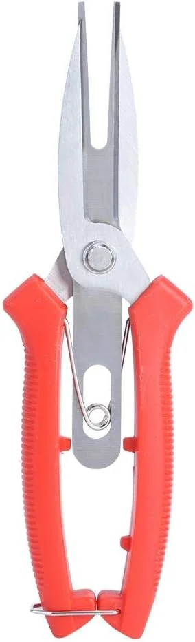 قیچی باغبانی دو دهانه استیل اومفار، مناسب برای هرس درختان سیب و گلابی، ابزار هرس باغبانی، قیچی های برش، مناسب برای تنک کردن گل و میوه در کشاورزی