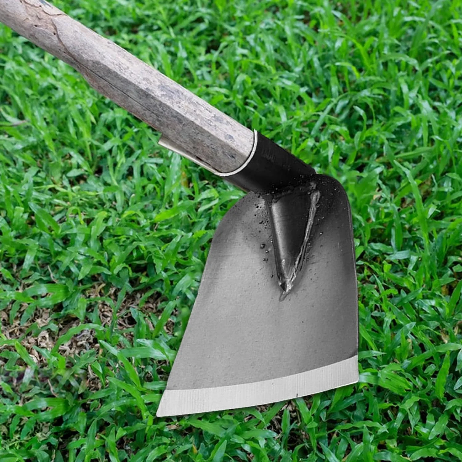 بیلچه باغبانی - سر بیلچه مزرعه باغبانی برای وجین گل | ابزار دستی سنگین فولاد منگنز قطعات جایگزین کولتیواتور برای حیاط کشاورزی در فضای باز بیلچه باغبانی - سر بیلچه مزرعه باغبانی برای وجین گل | ابزار دستی سنگین فولاد منگنز قطعات جایگزین کولتیواتور برای حیاط کشاورزی در فضای باز