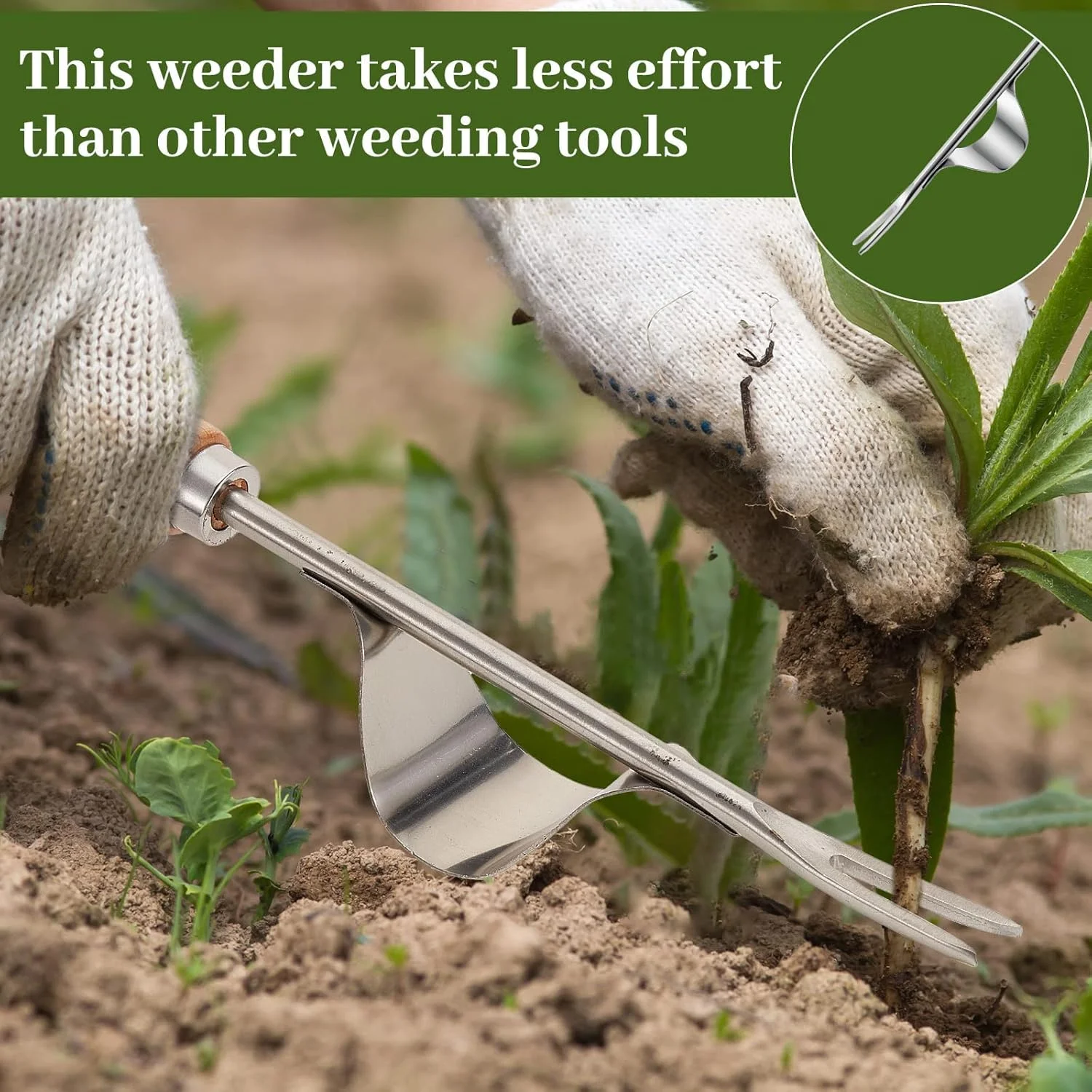 مجموعه ابزار علفکش TERRIFI، 2 عددی، ابزار حذف علفهای هرز دستی از جنس استیل ضد زنگ، ابزار وجین شکاف و درز، ابزار باغبانی دستی با دسته چوبی برای پیادهرو و پاسیو مجموعه ابزار علفکش TERRIFI، 2 عددی، ابزار حذف علفهای هرز دستی از جنس استیل ضد زنگ، ابزار وجین شکاف و درز، ابزار باغبانی دستی با دسته چوبی برای پیادهرو و پاسیو