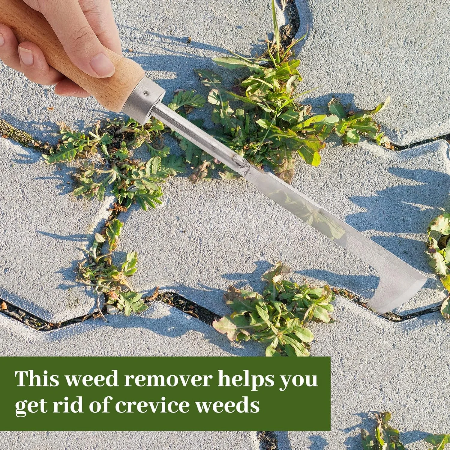 مجموعه ابزار علفکش TERRIFI، 2 عددی، ابزار حذف علفهای هرز دستی از جنس استیل ضد زنگ، ابزار وجین شکاف و درز، ابزار باغبانی دستی با دسته چوبی برای پیادهرو و پاسیو مجموعه ابزار علفکش TERRIFI، 2 عددی، ابزار حذف علفهای هرز دستی از جنس استیل ضد زنگ، ابزار وجین شکاف و درز، ابزار باغبانی دستی با دسته چوبی برای پیادهرو و پاسیو