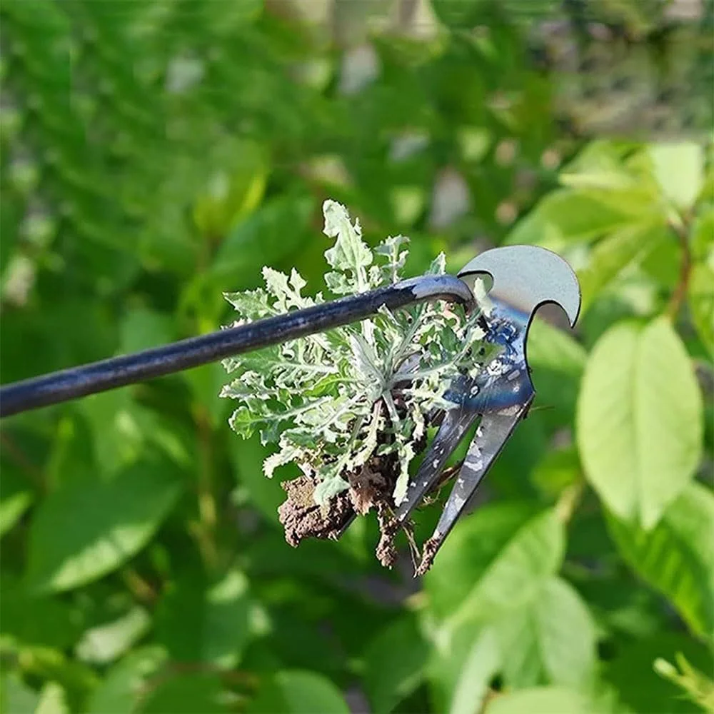 ابزار علف‌کن دستی باغبانی JZS، ابزار ریشه‌کن علف‌های هرز، ابزار علف‌کن دستی فولادی منگنز بادوام، ابزار باغبانی چند منظوره دستی برای حیاط و باغ (4 دندانه)