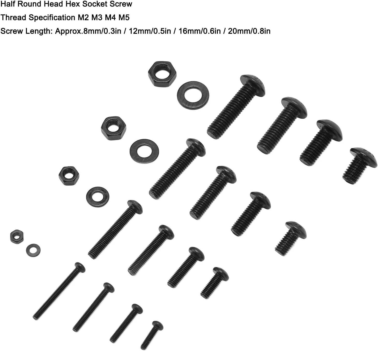 مجموعه پیچ و مهره متریک Fdit شامل 1220 قطعه، پیچ های ماشینی M2 M3 M4 M5 فولاد کربنی با سر نیم گرد، پیچ های سوکت شش گوش، مهره ها و واشرها مجموعه پیچ و مهره متریک Fdit شامل 1220 قطعه، پیچ های ماشینی M2 M3 M4 M5 فولاد کربنی با سر نیم گرد، پیچ های سوکت شش گوش، مهره ها و واشرها
