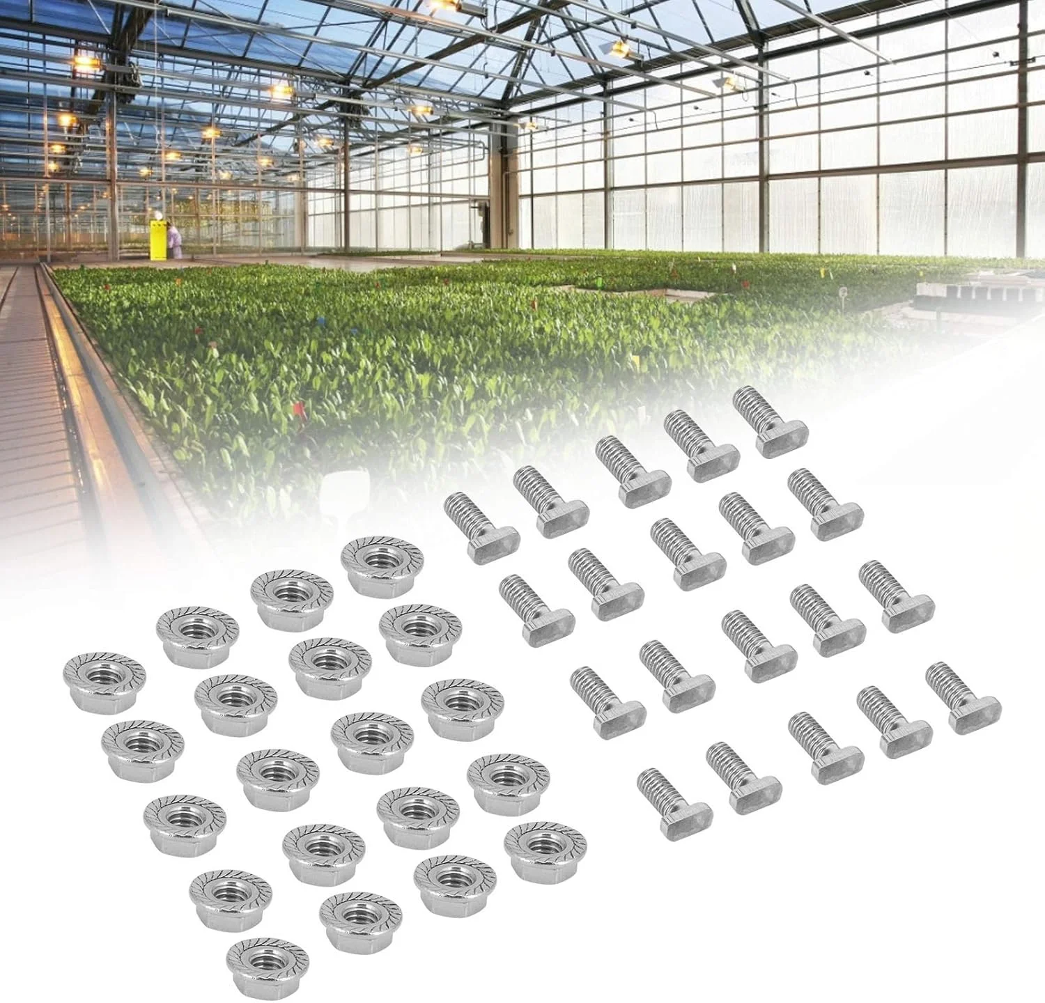 کیت سخت افزاری نصب تلویزیون Diydeg، پیچ و مهره های استیل ضد زنگ 304 M6، استفاده آسان برای لوازم سخت افزاری گلخانه