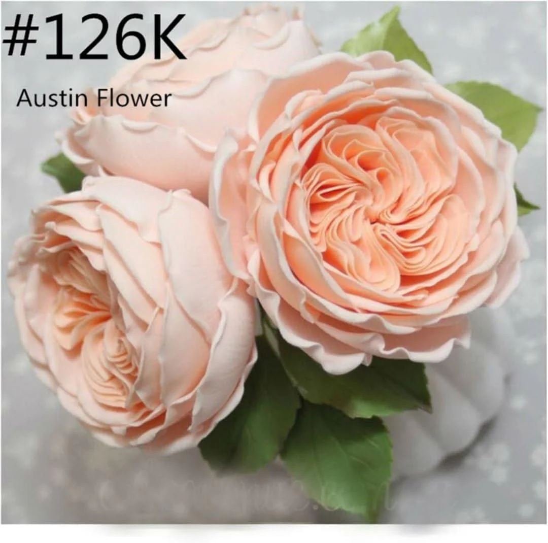 سری قیف ماسوره گل رز فانتزی دی، 5 عددی، استیل ضد زنگ، لوازم تزیین کیک، تزیین کوکی، تزیین کاپ کیک، کیت های تزیین، ماسوره های تزیین خامه، ست ابزار شیرینی پزی #4 سری قیف ماسوره گل رز فانتزی دی، 5 عددی، استیل ضد زنگ، لوازم تزیین کیک، تزیین کوکی، تزیین کاپ کیک، کیت های تزیین، ماسوره های تزیین خامه، ست ابزار شیرینی پزی #4