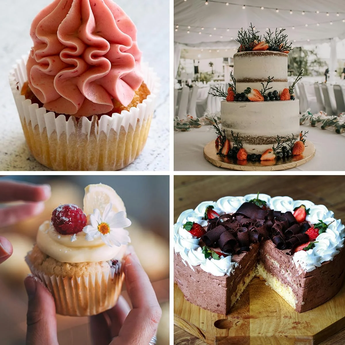 کیت لوازم تزئین کیک - ست گردان کیک با 48 عدد ماسوره قیف خامه، 20 عدد کیسه شیرینی پزی یکبار مصرف، 2 عدد اتصال دهنده، ابزار پخت برای مبتدیان کیت لوازم تزئین کیک - ست گردان کیک با 48 عدد ماسوره قیف خامه، 20 عدد کیسه شیرینی پزی یکبار مصرف، 2 عدد اتصال دهنده، ابزار پخت برای مبتدیان