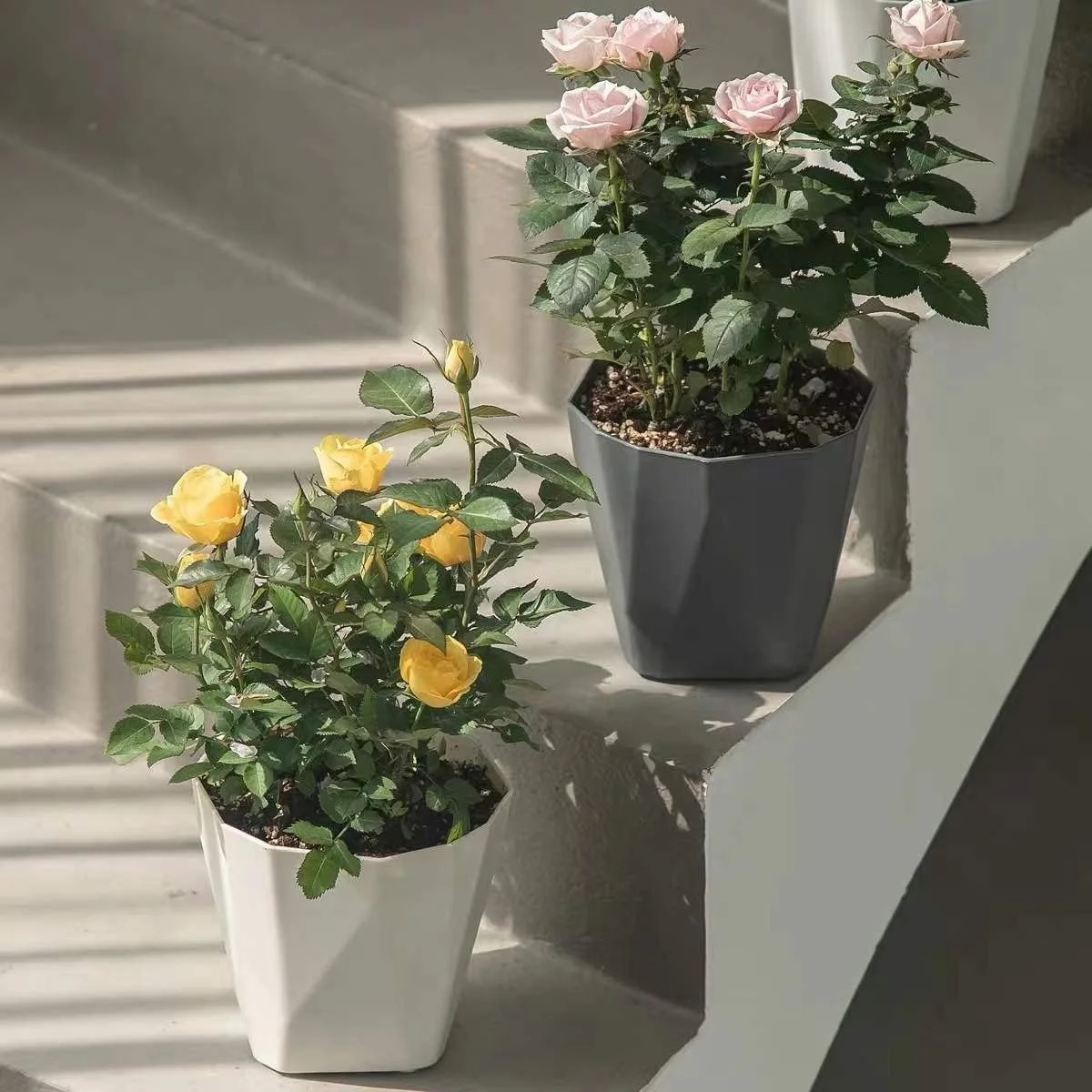 WEYSH 3 Pack 8.5 Inch Flower Pots, Plastic Plant Pots with Saucer Trays, Decorative Planters for Home, Garden and Office WEYSH 3 Pack 8.5 Inch Flower Pots, Plastic Plant Pots with Saucer Trays, Decorative Planters for Home, Garden and Office