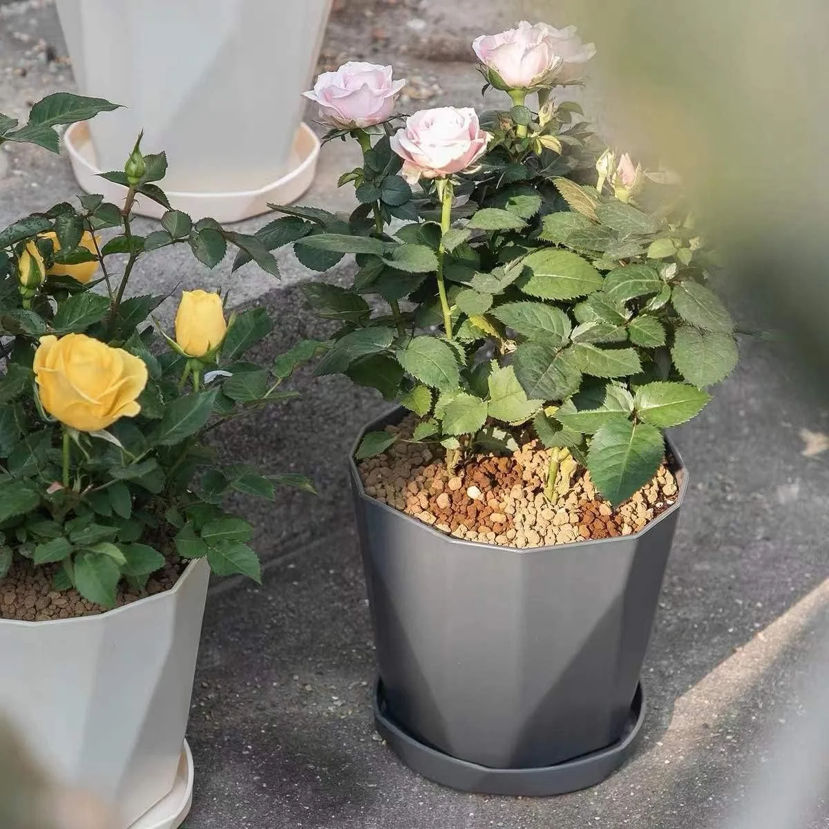 WEYSH 3 Pack 8.5 Inch Flower Pots, Plastic Plant Pots with Saucer Trays, Decorative Planters for Home, Garden and Office WEYSH 3 Pack 8.5 Inch Flower Pots, Plastic Plant Pots with Saucer Trays, Decorative Planters for Home, Garden and Office