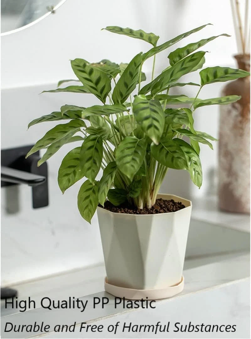 WEYSH 3 Pack 8.5 Inch Flower Pots, Plastic Plant Pots with Saucer Trays, Decorative Planters for Home, Garden and Office WEYSH 3 Pack 8.5 Inch Flower Pots, Plastic Plant Pots with Saucer Trays, Decorative Planters for Home, Garden and Office