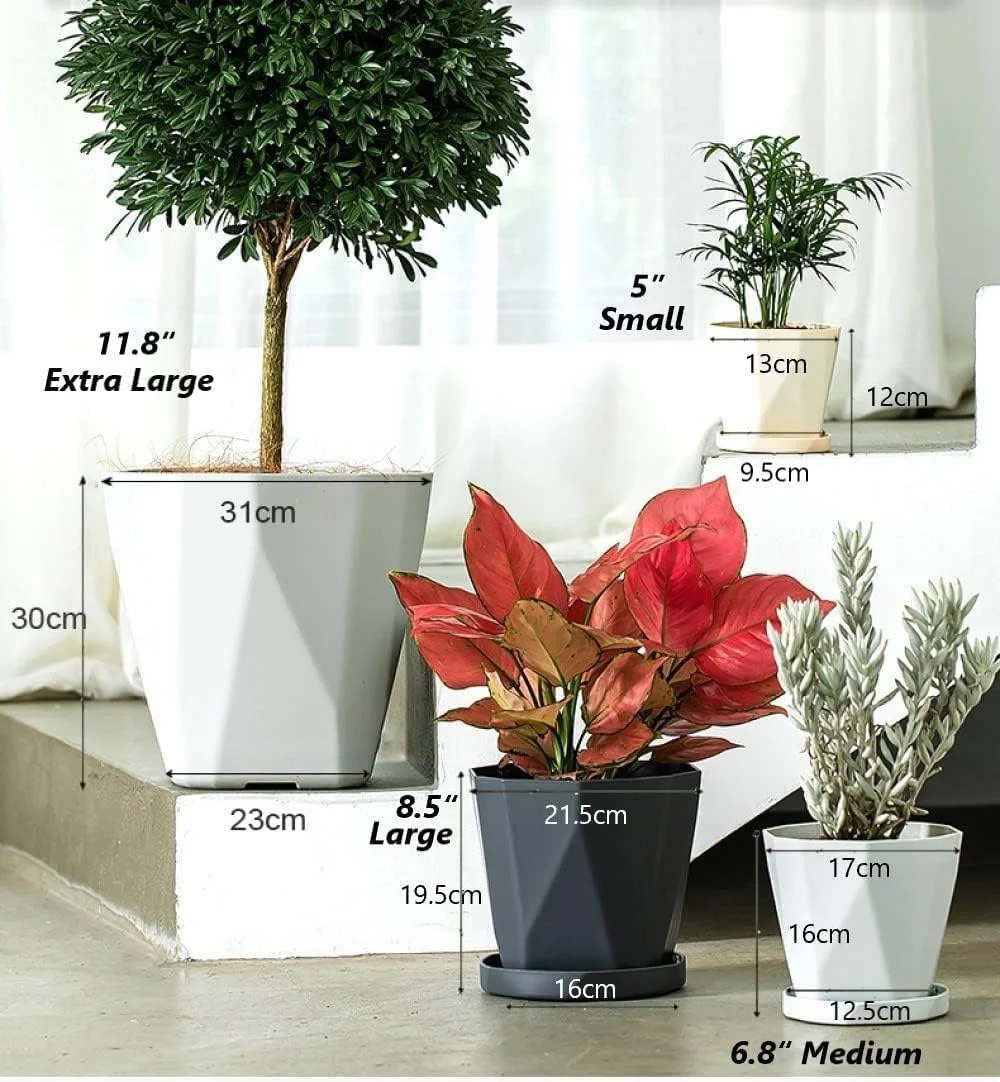 WEYSH 3 Pack 8.5 Inch Flower Pots, Plastic Plant Pots with Saucer Trays, Decorative Planters for Home, Garden and Office WEYSH 3 Pack 8.5 Inch Flower Pots, Plastic Plant Pots with Saucer Trays, Decorative Planters for Home, Garden and Office