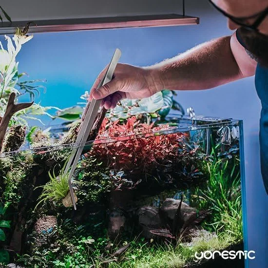 موچین آکواریوم خمیده VORESTIC 38 سانتی متر، موچین تغذیه آکواریوم، موچین آکواریوم بلند برای تراریوم و آکواریوم موچین آکواریوم خمیده VORESTIC 38 سانتی متر، موچین تغذیه آکواریوم، موچین آکواریوم بلند برای تراریوم و آکواریوم