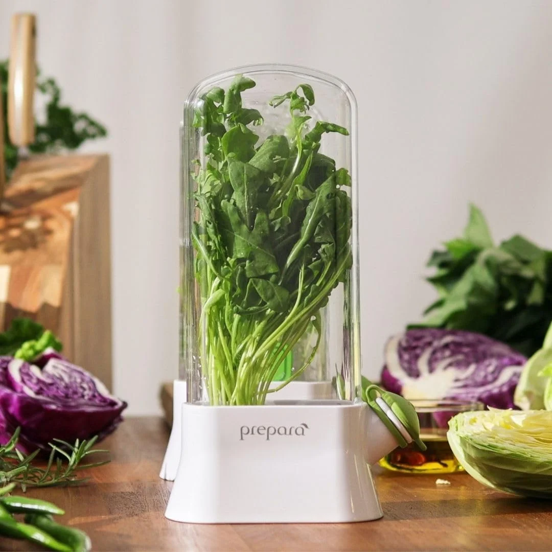 نگهدارنده سبزیجات پرپرا Herb Saver، بهترین نگهدارنده برای تازه ترین محصولات - نوآوری کارآمد، 15.7 x 7.3 x 27.1 سانتی متر PP07-HSEWH