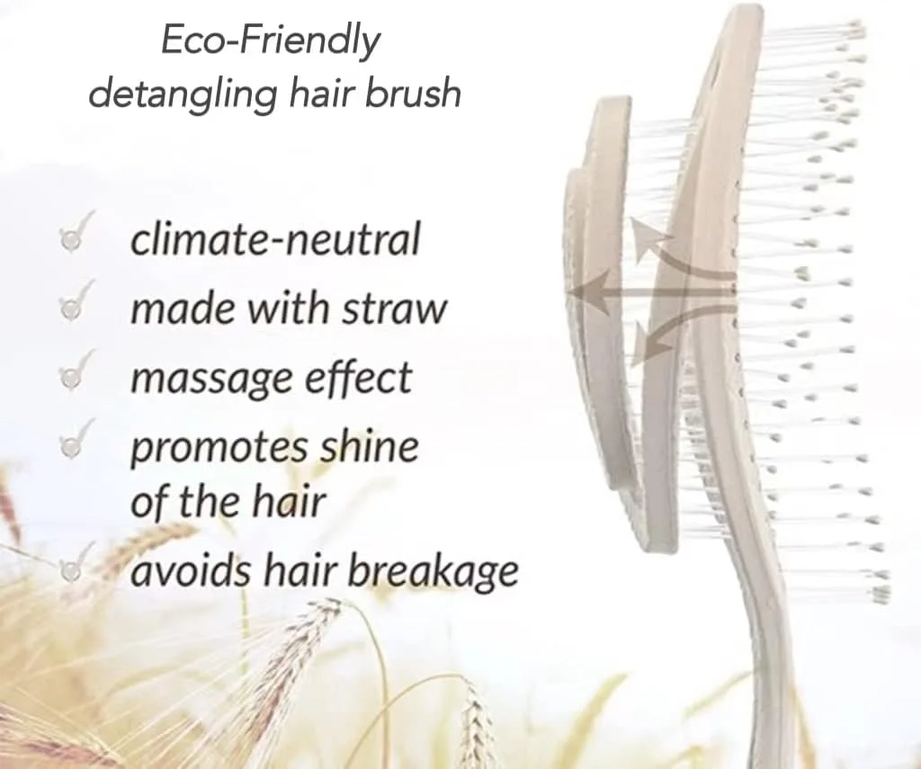 برس باز کننده گره مو ALANX، برس سازگار با محیط زیست با موهای فوق العاده نرم - به راحتی گره ها را باز می کند - برای موهای فر، صاف، زنان، مردان، کودکان، نوپایان، موهای خیس و خشک (خاکی) برس باز کننده گره مو ALANX، برس سازگار با محیط زیست با موهای فوق العاده نرم - به راحتی گره ها را باز می کند - برای موهای فر، صاف، زنان، مردان، کودکان، نوپایان، موهای خیس و خشک (خاکی)