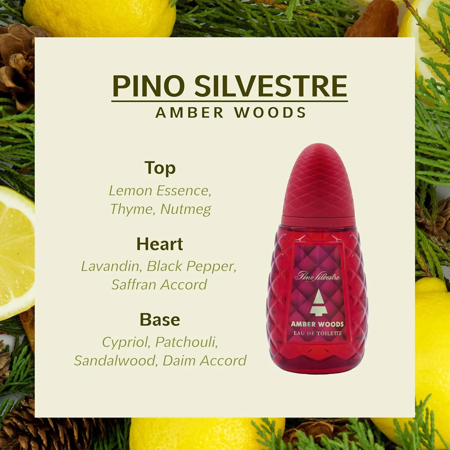 پینو سیلوستره امبر وودز پینو سیلوستره امبر وودز